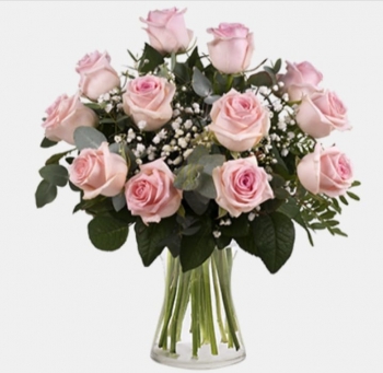 Roses all colors Alaya Lebanon